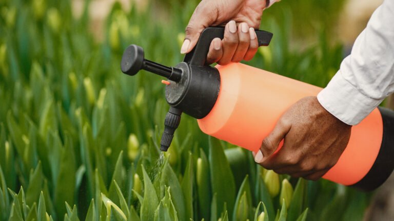 What Pesticides Are?