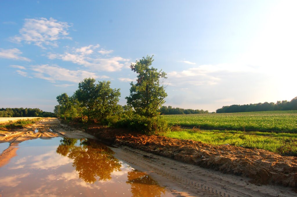 Flooded land with water submerging soil and vegetation, causing destruction.